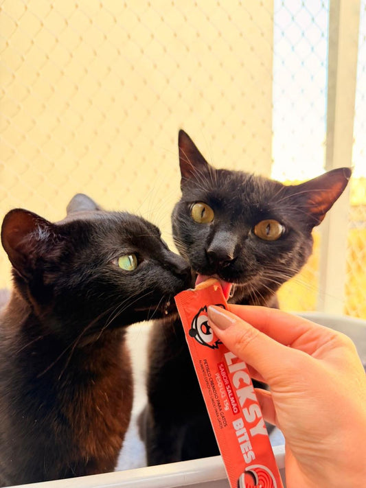 Petisco Cremoso para Gatos Licksy Bites Sabor Salmão - 3 Packs (15 unidades)