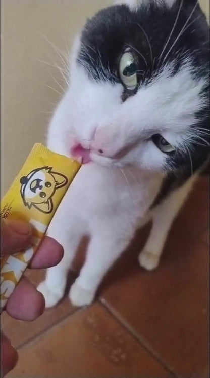 Petisco Cremoso para Gatos Licksy Bites Sabor Frango  - 1 Pack 75g (5 unidades)