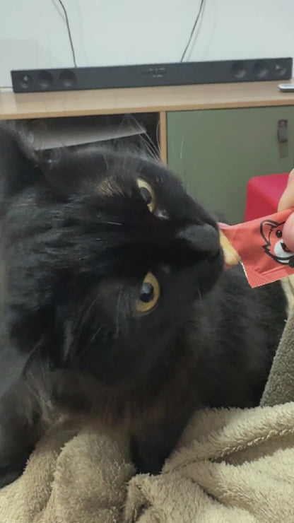 Petisco Cremoso para Gatos Licksy Bites Sabor Mix - 3 Packs (15 unidades)