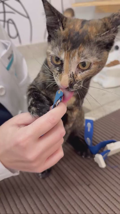 Petisco Cremoso para Gatos Licksy Bites Sabor Atum - 1 Pack 75g (5 unidades)