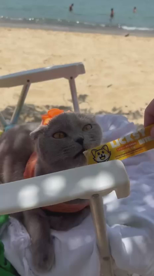 Petisco Cremoso para Gatos Licksy Bites Sabor Frango  - 1 Pack 75g (5 unidades)