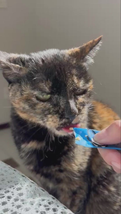 Petisco Cremoso para Gatos Licksy Bites Sabor Atum - 1 Pack 75g (5 unidades)