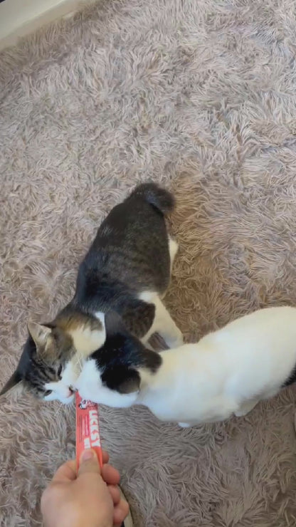 Petisco Cremoso para Gatos Licksy Bites Sabor Salmão - 1 Pack 75g (5 unidades)